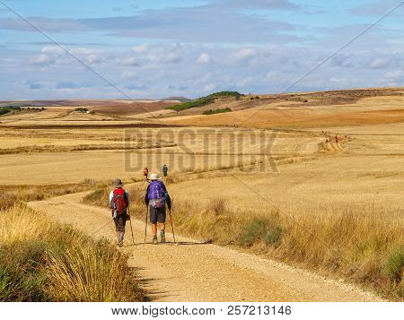 Pilgrims Walk On An Open Dirt Road Through The Meseta - Castrojeriz, Castile And Leon, Spain, 15 Sep