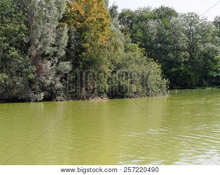 Photography That Is Showing The Dombes River
