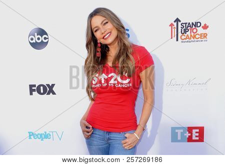 Sofia Vergara at the 6th Biennial Stand Up To Cancer Telecast held at the Barkar Hangar in Santa Monica, USA on September 7, 2018.