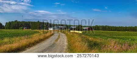 Panorama Of Typical Finnish Countryside In Summer In Province Of Oulu, Northern Ostrobothnia Region,