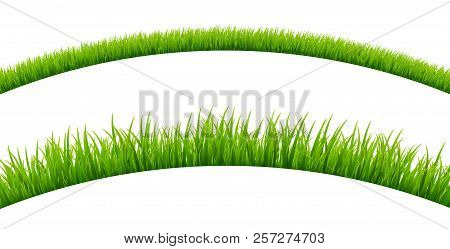 Green Grass Meadow Border Vector Pattern. Spring Or Summer Plant Field Lawn. Grass Background.