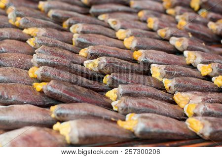 Close Up Salted Snake Skin Gourami Fish Drying