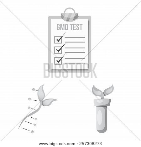 Vector Illustration Of Genetic And Plant Icon. Set Of Genetic And Biotechnology Stock Symbol For Web