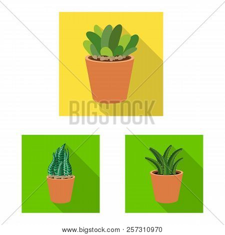 Vector Design Of Cactus And Pot Symbol. Set Of Cactus And Cacti Vector Icon For Stock.