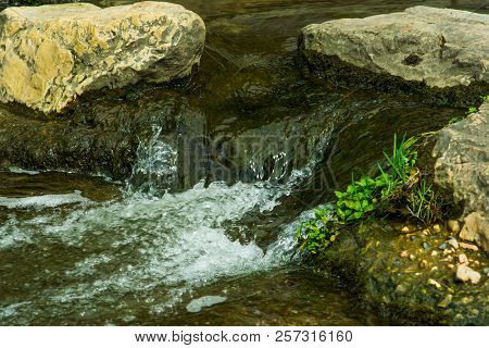 Laminar Flow Of Mirror Water Drops Between Rocks Overgrown With Mud And Grass