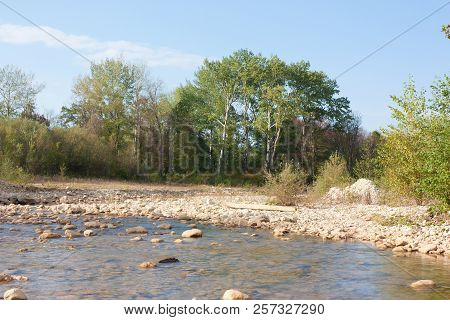 Bright Autumn Day On The Forest River. Kurdzhips River In The Krasnodar Region.