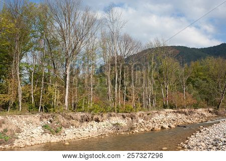 Bright Autumn Day On The Forest River. Kurdzhips River In The Krasnodar Region.