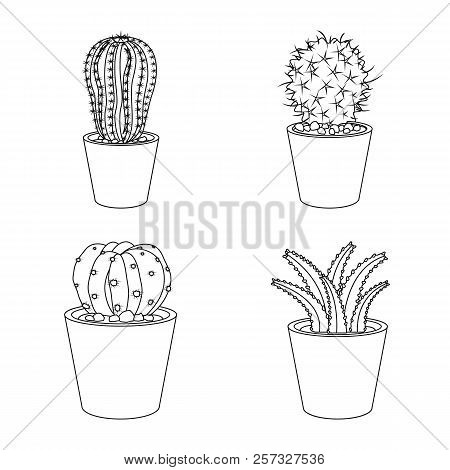 Vector Illustration Of Cactus And Pot Icon. Set Of Cactus And Cacti Vector Icon For Stock.