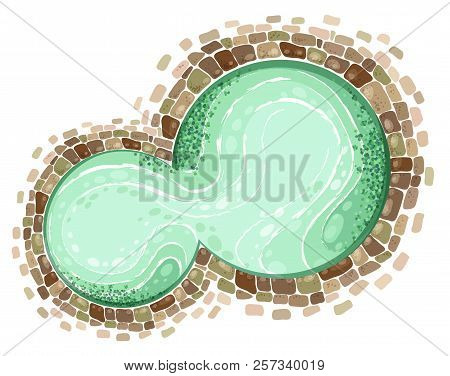 Nature Stone Pond Top View Design Vector Illustration