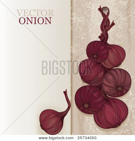 Vektorové ilustrace pletenec fialové cibule