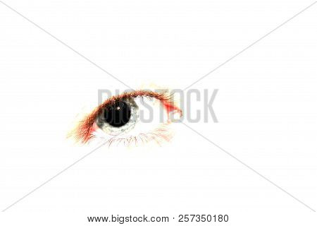 A Crisp Clear Blue Eye With A Wide Pupil And Long Eyelashes Isolated On A White Background.