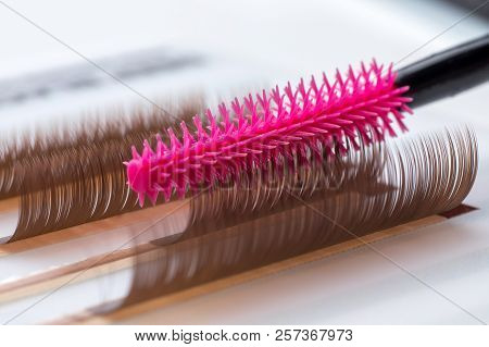 Eyelash Brown Extension Procedure. Set Lashes Close Up Pink Comb