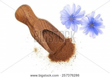 Chicory Flower And Powder Of Instant Chicory In Wooden Scoop Isolated On A White Background. Cichori