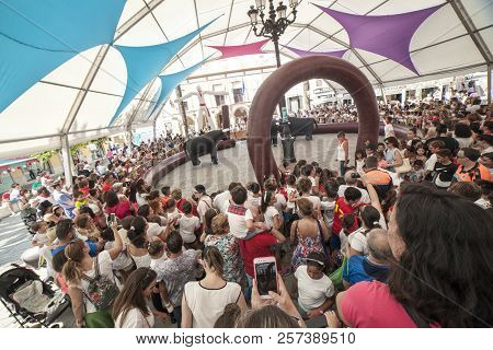 Montijo, Spain - September The 7th, 2018: Running Of The Bulls For Children. Party For Children With