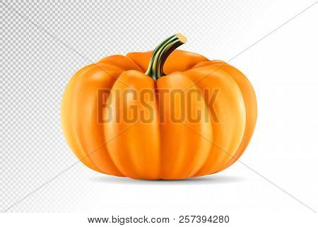 Realistic Vector Pumpkin Isolated On Transparency Grid Background. 3d Illustration