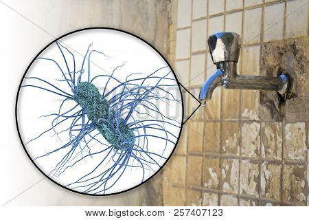 Safety Of Drinking Water Concept, 3d Illustration Showing Escherichia Coli Bacteria Contaminating Dr