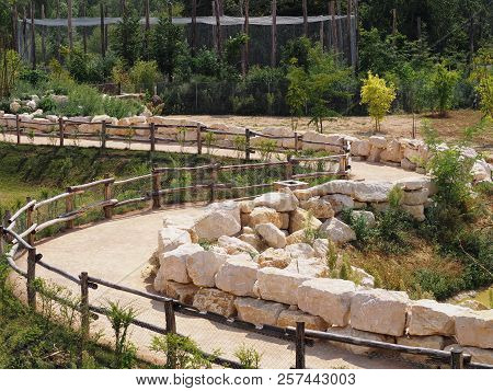 Photography That Is Showing A Tortuous Pathway