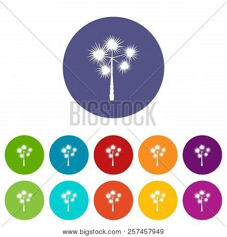 Palm Chamaerops Set Icons In Different Colors Isolated On White Background