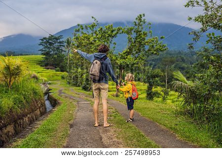 Dad And Son Travelers On Beautiful Jatiluwih Rice Terraces Against The Background Of Famous Volcanoe
