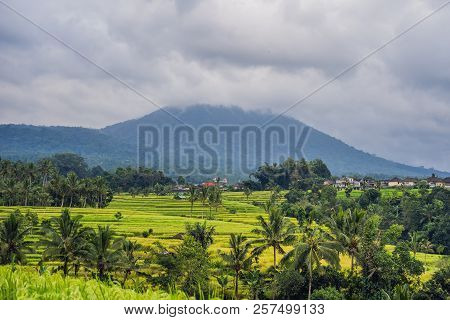 Beautiful Jatiluwih Rice Terraces Against The Background Of Famous Volcanoes In Bali, Indonesia