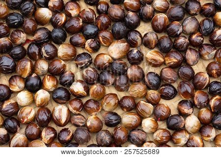 Fresh wild nutmeg drying under the sun in Banda Neira island, Molluccas, Indonesia
