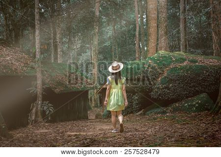 Women Are In The Rainforest, Environment And Travel. Military Politics School Phu Hin Rongkla Phetch