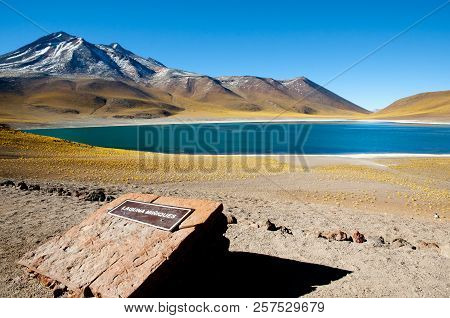 Miniques Lagoon - Atacama Region - Chile