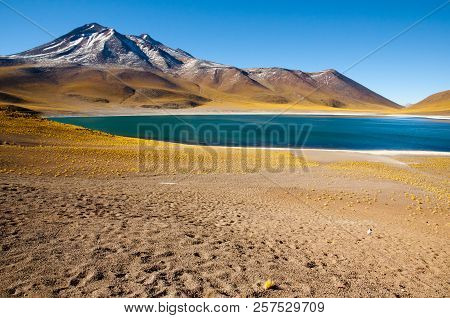 Miniques Lagoon - Atacama Region - Chile