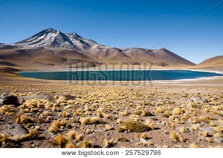 Miniques Lagoon - Atacama Region - Chile