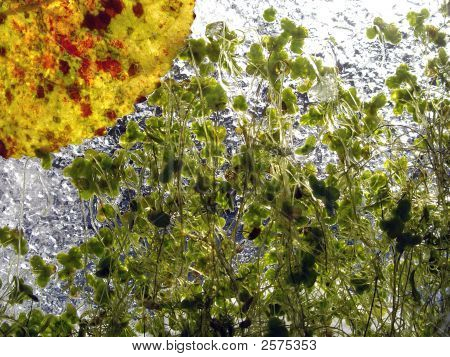 Luce solare attraverso il ghiaccio
