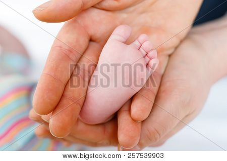 Father Or Mother Holding Foot Of Newborn Baby. Adult Hand And Baby Tiny Baby Feet. Happy Parenthood,
