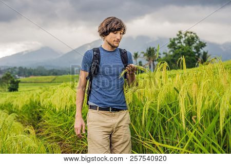 Young Man Traveler On Beautiful Jatiluwih Rice Terraces Against The Background Of Famous Volcanoes I