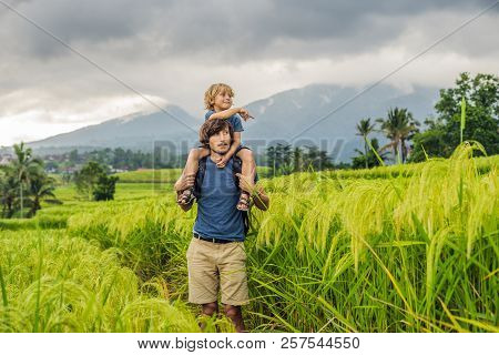 Dad And Son Travelers On Beautiful Jatiluwih Rice Terraces Against The Background Of Famous Volcanoe