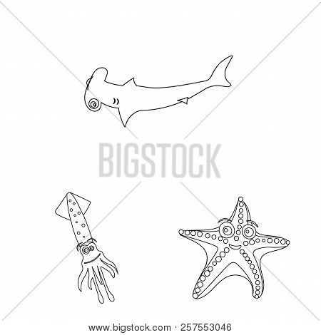 Vector Design Of Sea And Animal Sign. Collection Of Sea And Marine Stock Vector Illustration.