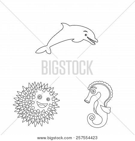 Isolated Object Of Sea And Animal Icon. Set Of Sea And Marine Vector Icon For Stock.