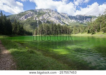 Alpine Mountaine Green Lake. Gruner See, Austria