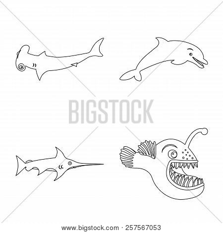 Vector Illustration Of Sea And Animal Logo. Collection Of Sea And Marine Stock Vector Illustration.