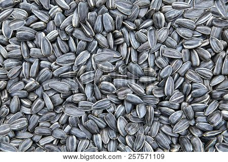 A Handful Of Fried Sunflower Seeds, The Concept Of Overpopulation Or Demographic Explosion, A Textur