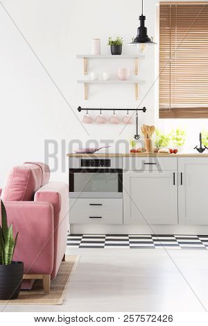 Black Lamp Above Grey Kitchenette In Open Space Interior With Pink Sofa And Window. Real Photo