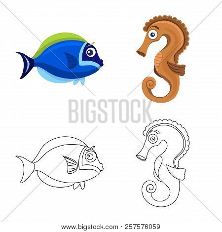 Vector Design Of Sea And Animal Logo. Set Of Sea And Marine Vector Icon For Stock.