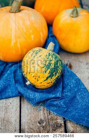 Autumn, Orange Pumpkins Over Wooden Table
