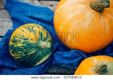 Pumpkin, Close-up, Top View