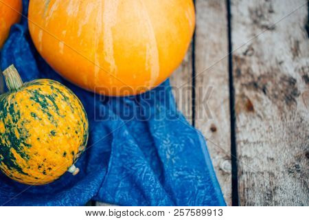 Pumpkins On Wooden Background, Copyspace