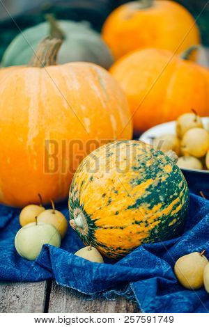 Autumn Harvest. Pumpkins, Apples, Pears On A Blue Towel, Close-up