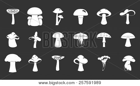 Mushroom Icon Set White Isolated On Grey Background