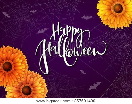 Vector Illustration With Design Template For Halloween Event Banner With Detailed Bright Gerberas, S
