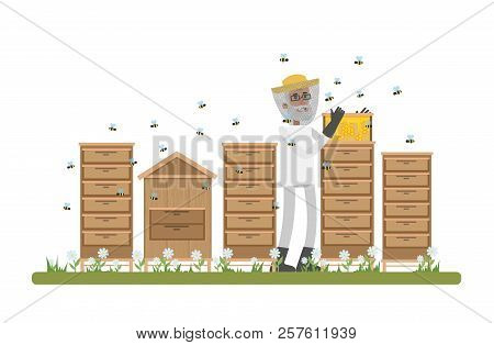 Beekepeer Standing In Apiary And Collecting Honey