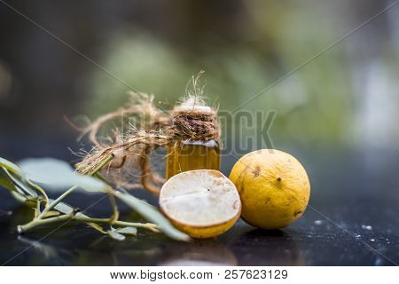 Close Up Of Floral And Herbal Essence Of Lemon Or Limbo Or Citrus × Limon In A Transparent Bottle Wi
