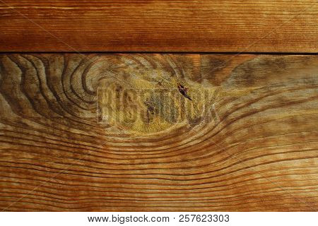 Tump Of Oak Tree Felled - Section Of The Trunk With Annual Rings.