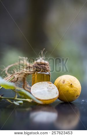 Close Up Of Floral And Herbal Essence Of Lemon Or Limbo Or Citrus × Limon In A Transparent Bottle Wi